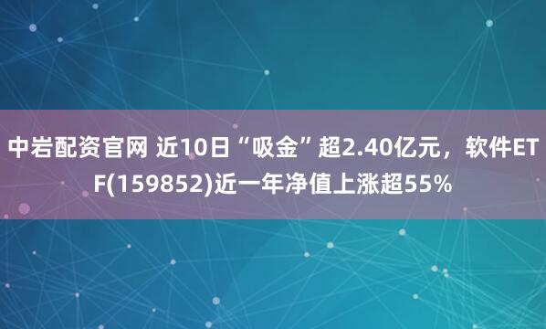 中岩配资官网 近10日“吸金”超2.40亿元，软件ETF(159852)近一年净值上涨超55%