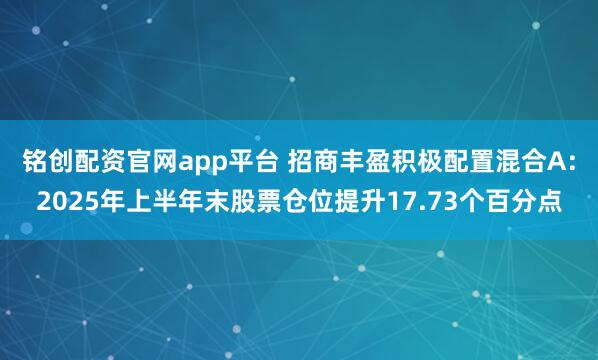 铭创配资官网app平台 招商丰盈积极配置混合A：2025年上半年末股票仓位提升17.73个百分点